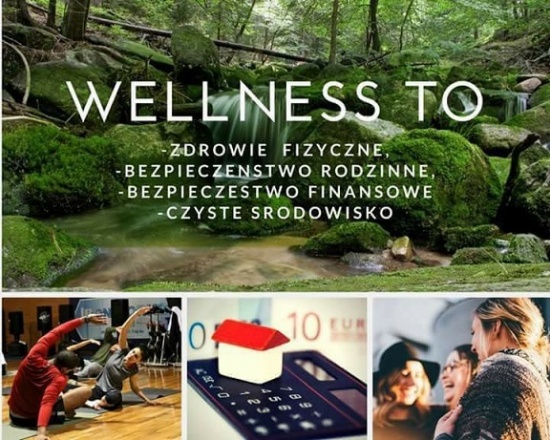 Biznes Online w Branży Wellness